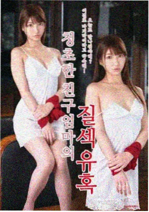 雾港回声剧集封面